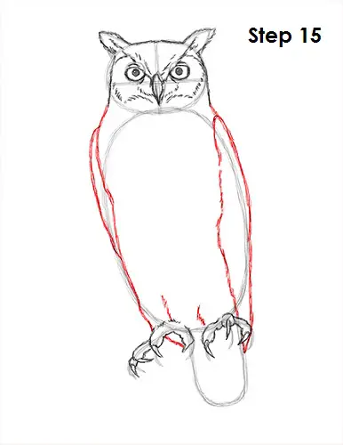 Great Horned Owl Drawing 15 Draw Great Horned Owl 15