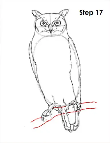 Great Horned Owl Drawing 17 Draw Great Horned Owl 17