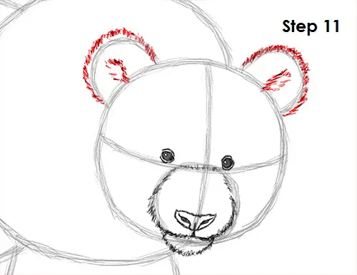 Panda Drawing 11 Draw Panda 11