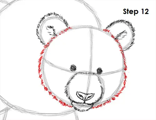Panda Drawing 12 Draw Panda 12