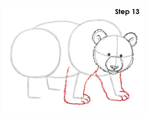 Panda Drawing 13 Draw Panda 13