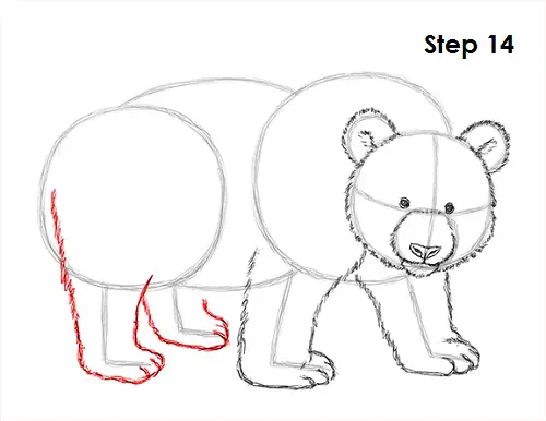 Panda Drawing 14 Draw Panda 14