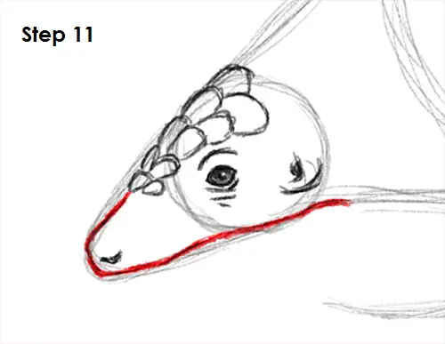 Pangolin Drawing 11 Draw Pangolin 11