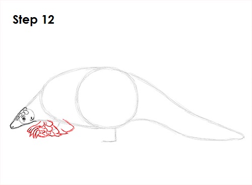 Pangolin Drawing 12 Draw Pangolin 12
