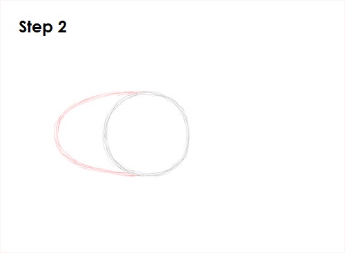 Pangolin Drawing 2 Draw Pangolin 2
