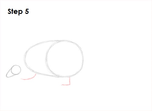 Pangolin Drawing 5 Draw Pangolin 5