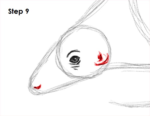 Pangolin Drawing 9 Draw Pangolin 9