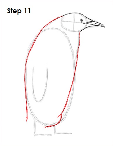Penguin Drawing 11 Draw Penguin 11