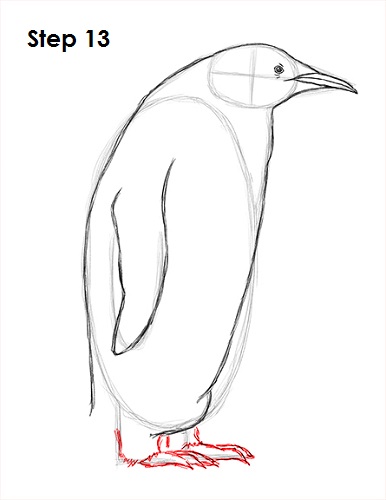 draw penguin 13