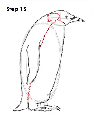 Penguin Drawing 15 Draw Penguin 15
