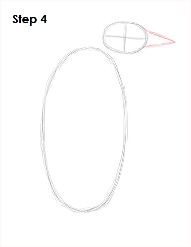 Penguin Drawing 4 Draw Penguin 4