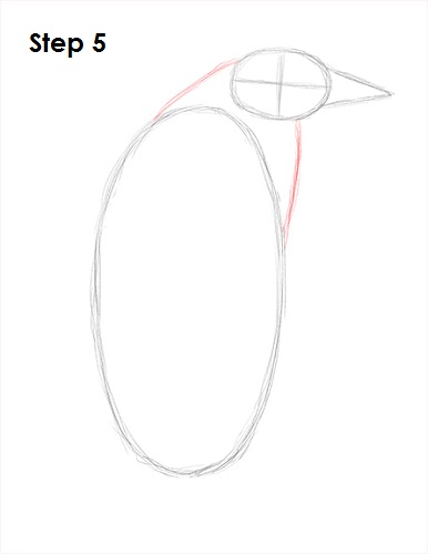 Penguin Drawing 5 Draw Penguin 5