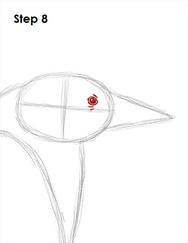 Penguin Drawing 8 Draw Penguin 8