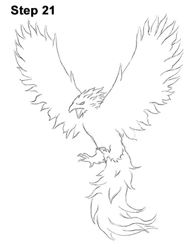 how to draw a phoenix drawing of a phoenix