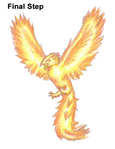 how to draw a phoenix drawing of a phoenix