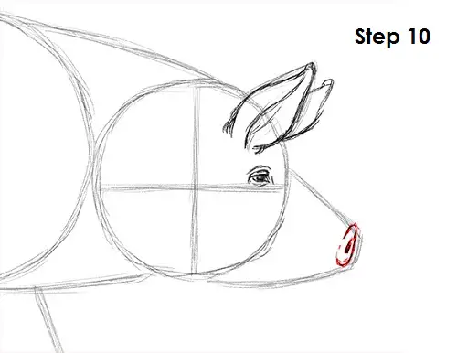 Pig Drawing 10 Draw Pig 10