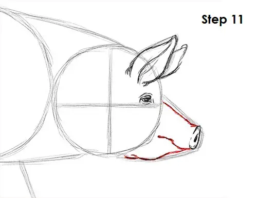 Pig Drawing 11 Draw Pig 11