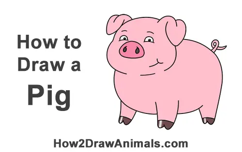 how to a pig pig www pixshark images galleries with a bite how to a pig pig www pixshark images galleries with a bite