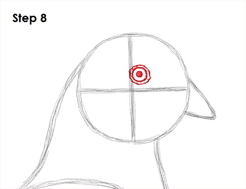 Pigeon Bird Drawing 8 Draw Pigeon Bird 8