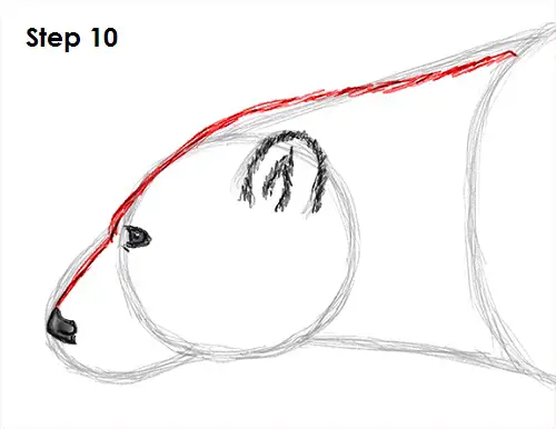 Polar Bear Drawing 10 Draw Polar Bear 10