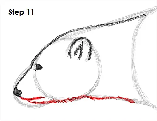 Polar Bear Drawing 11 Draw Polar Bear 11