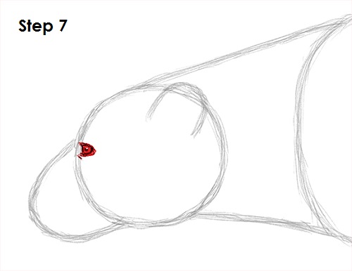 Polar Bear Drawing 7 Draw Polar Bear 7