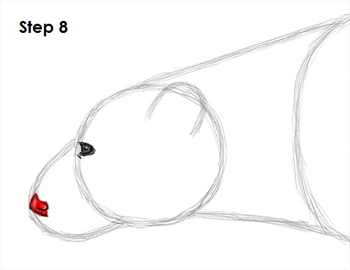 Polar Bear Drawing 8 Draw Polar Bear 8