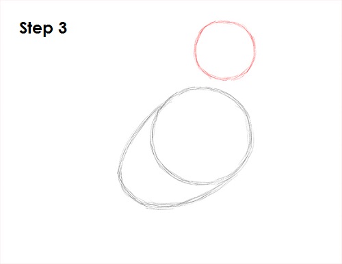 Puffin Bird Drawing 3 Draw Puffin Bird 3