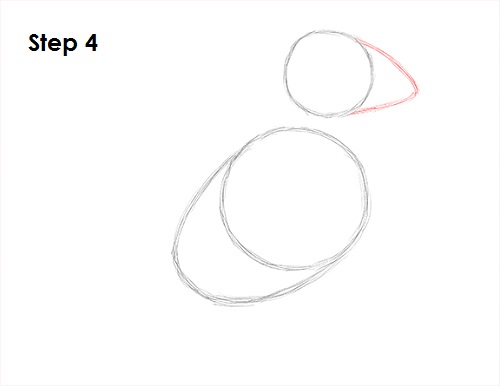 Puffin Bird Drawing 4 Draw Puffin Bird 4