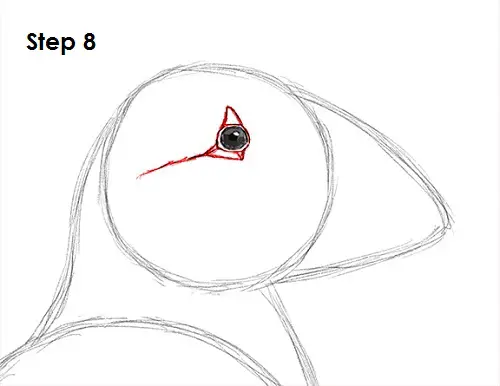 Puffin Bird Drawing 8 Draw Puffin Bird 8