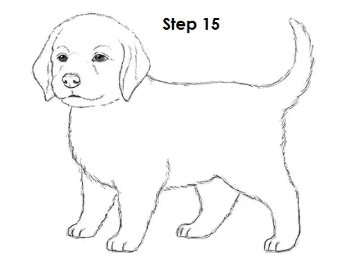 how to draw dogs and puppies how to draw a puppy how to draw dogs and puppies how to draw a puppy