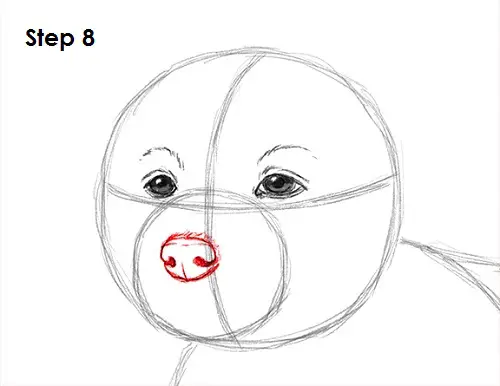 Puppy Dog Drawing 8 Draw Puppy Dog 8
