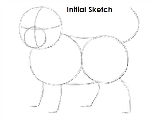Puppy Dog Drawing Sketch Draw Puppy Dog Sketch