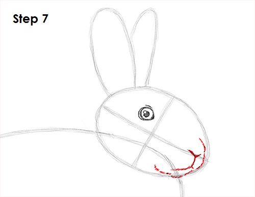 Rabbit Drawing 7 Draw Rabbit 7