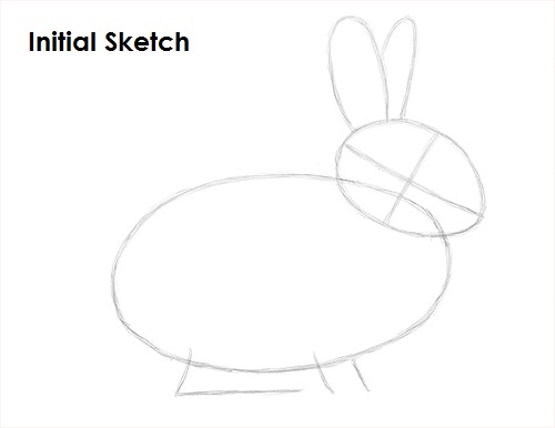 Rabbit Drawing Sketch Draw Rabbit Sketch