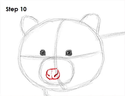 Raccoon Drawing 10 Draw Raccoon 10