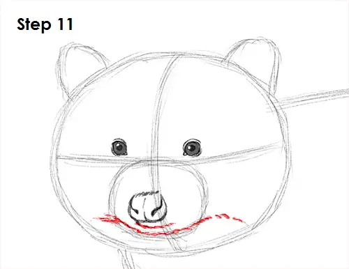Raccoon Drawing 11 Draw Raccoon 11