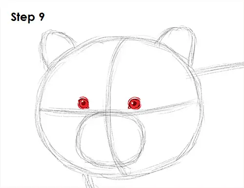 Raccoon Drawing 9 Draw Raccoon 9