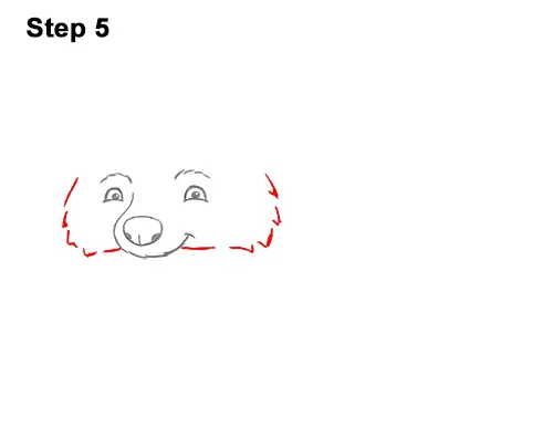 how to draw a raccoon cartoon