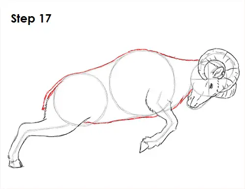 Bighorn Ram Drawing 17 Draw Bighorn Ram 17