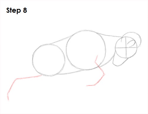 Bighorn Ram Drawing 8 Draw Bighorn Ram 8