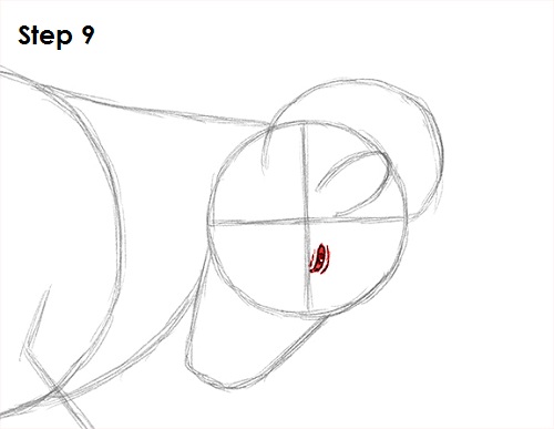 Bighorn Ram Drawing 9 Draw Bighorn Ram 9