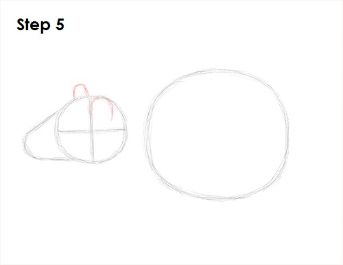 Rat Drawing 5 Draw Rat 5
