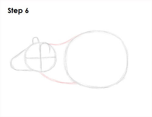 Rat Drawing 6 Draw Rat 6