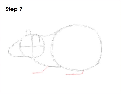Rat Drawing 7 Draw Rat 7