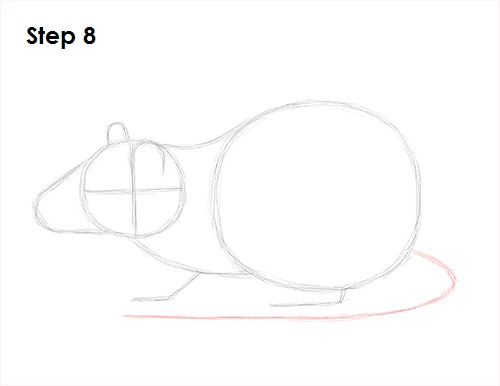 Rat Drawing 8 Draw Rat 8