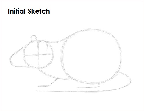 Rat Drawing Sketch Draw Rat Sketch