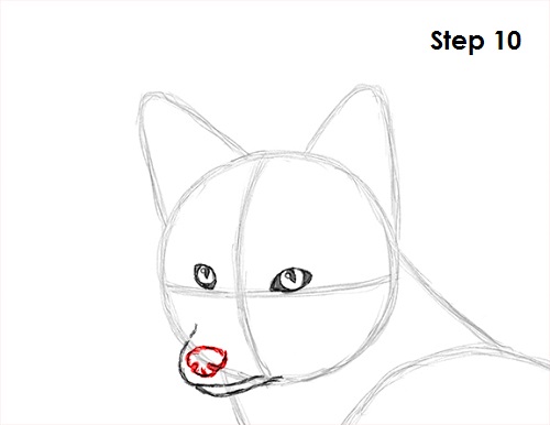Red Fox Drawing 10 Draw Red Fox 10