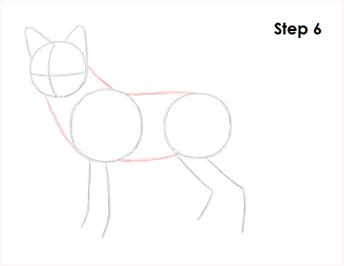 Red Fox Drawing 6 Draw Red Fox 6