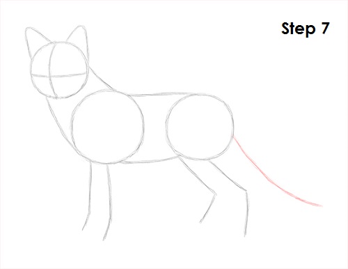 Red Fox Drawing 7 Draw Red Fox 7